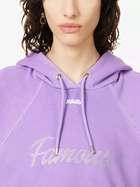 Mini Hooded Crystal Embellished Sweatshirt
