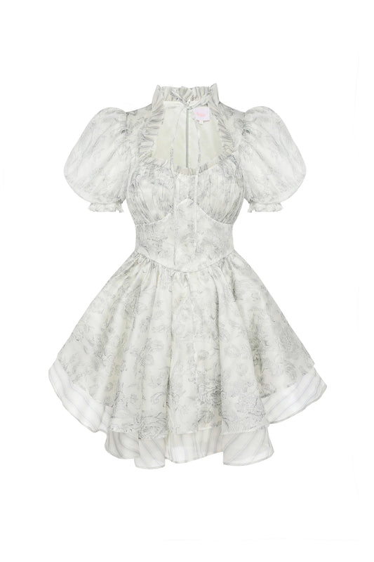 The Austen Silk Satin Portrait of a Lady Dress