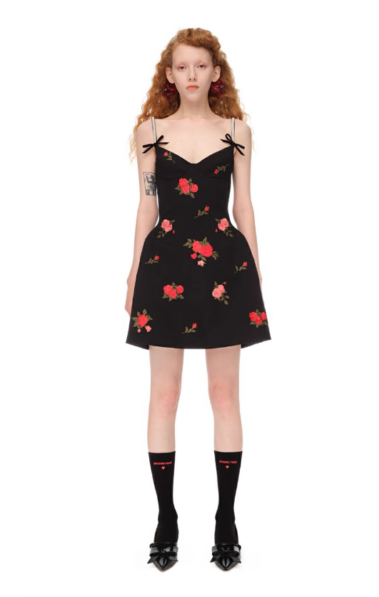 Embroidered Rose French-style Corset Minidress